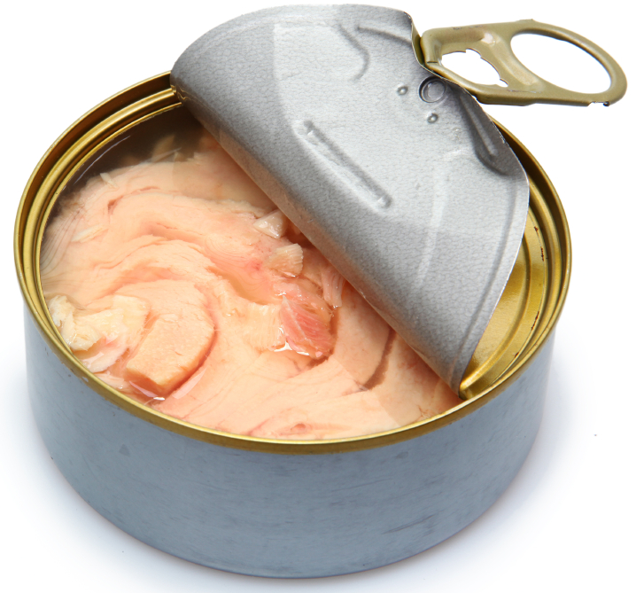 tuna fish food